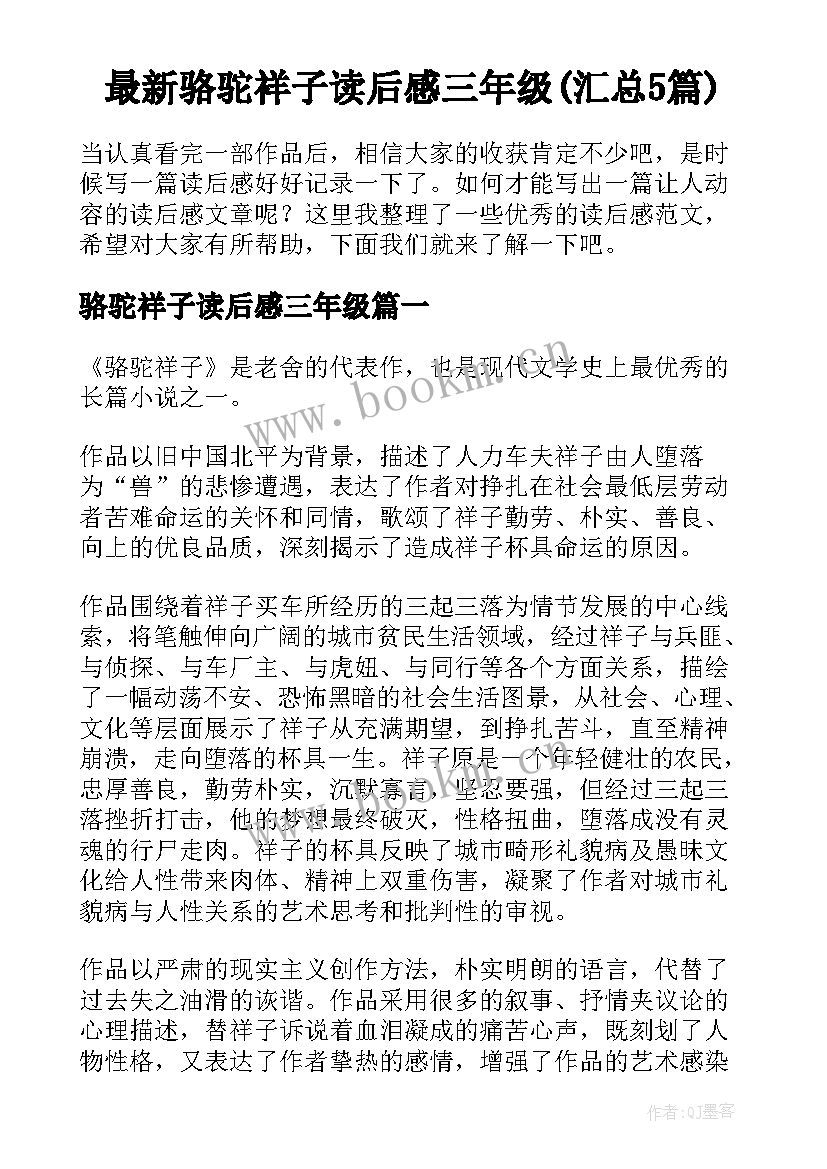 最新骆驼祥子读后感三年级(汇总5篇)