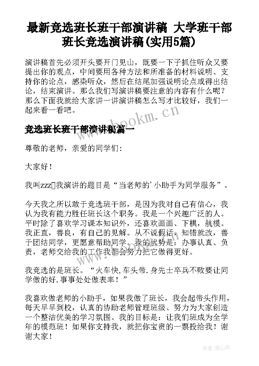 最新竞选班长班干部演讲稿 大学班干部班长竞选演讲稿(实用5篇)