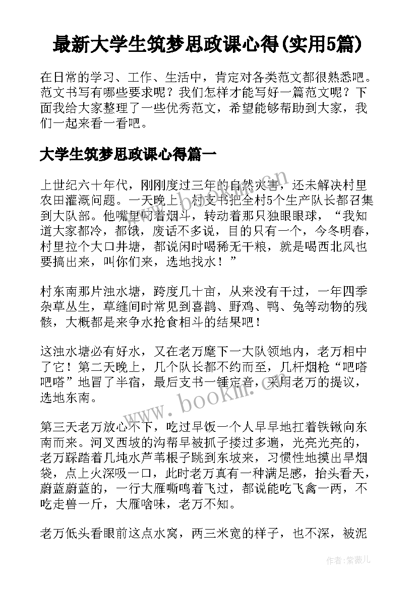 最新大学生筑梦思政课心得(实用5篇)