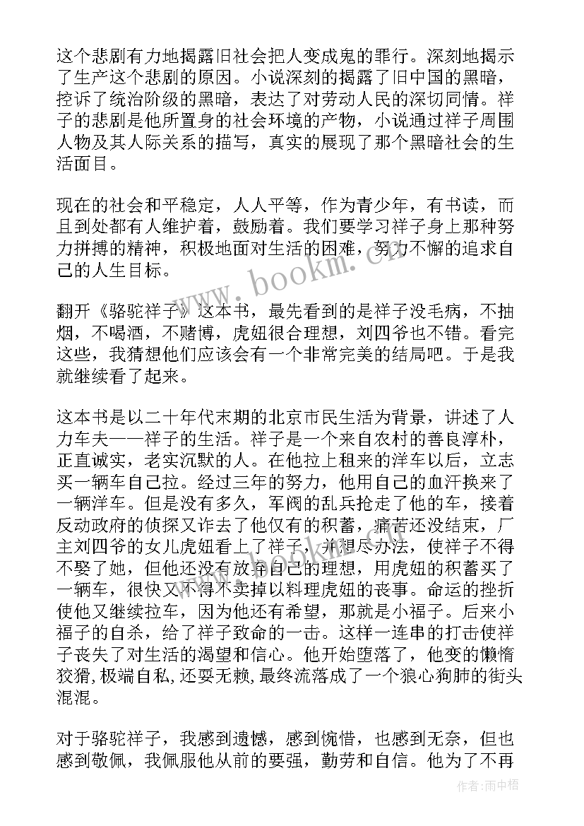 风筝读后感受(优秀6篇)