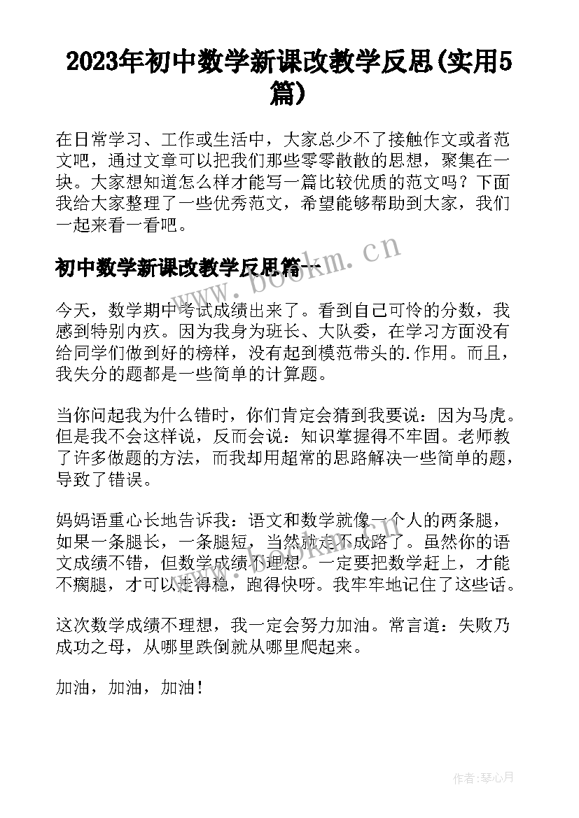 2023年初中数学新课改教学反思(实用5篇)