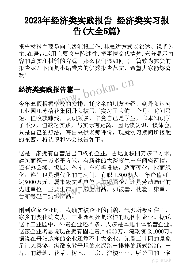 2023年经济类实践报告 经济类实习报告(大全5篇)