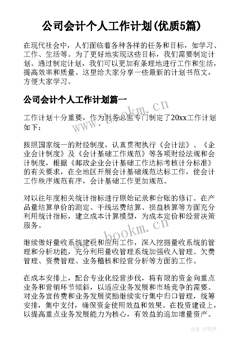 公司会计个人工作计划(优质5篇)