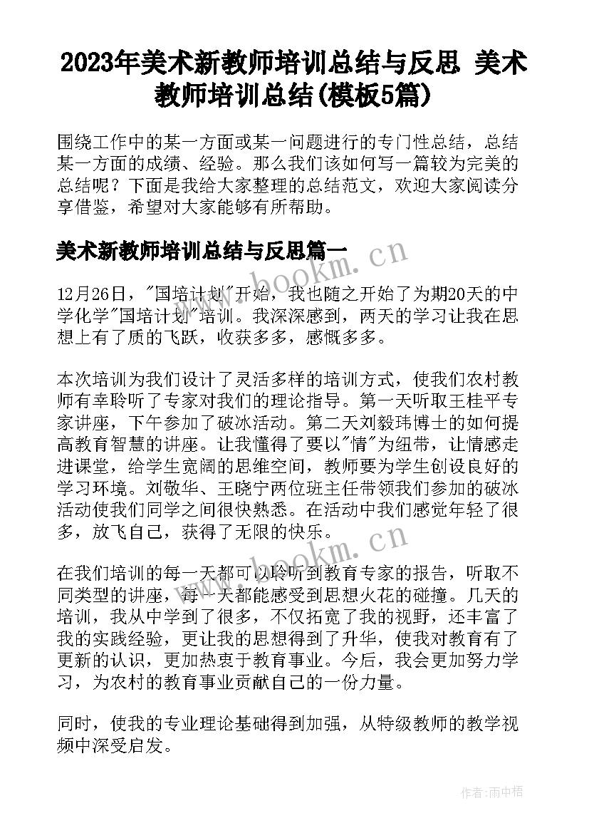 2023年美术新教师培训总结与反思 美术教师培训总结(模板5篇)