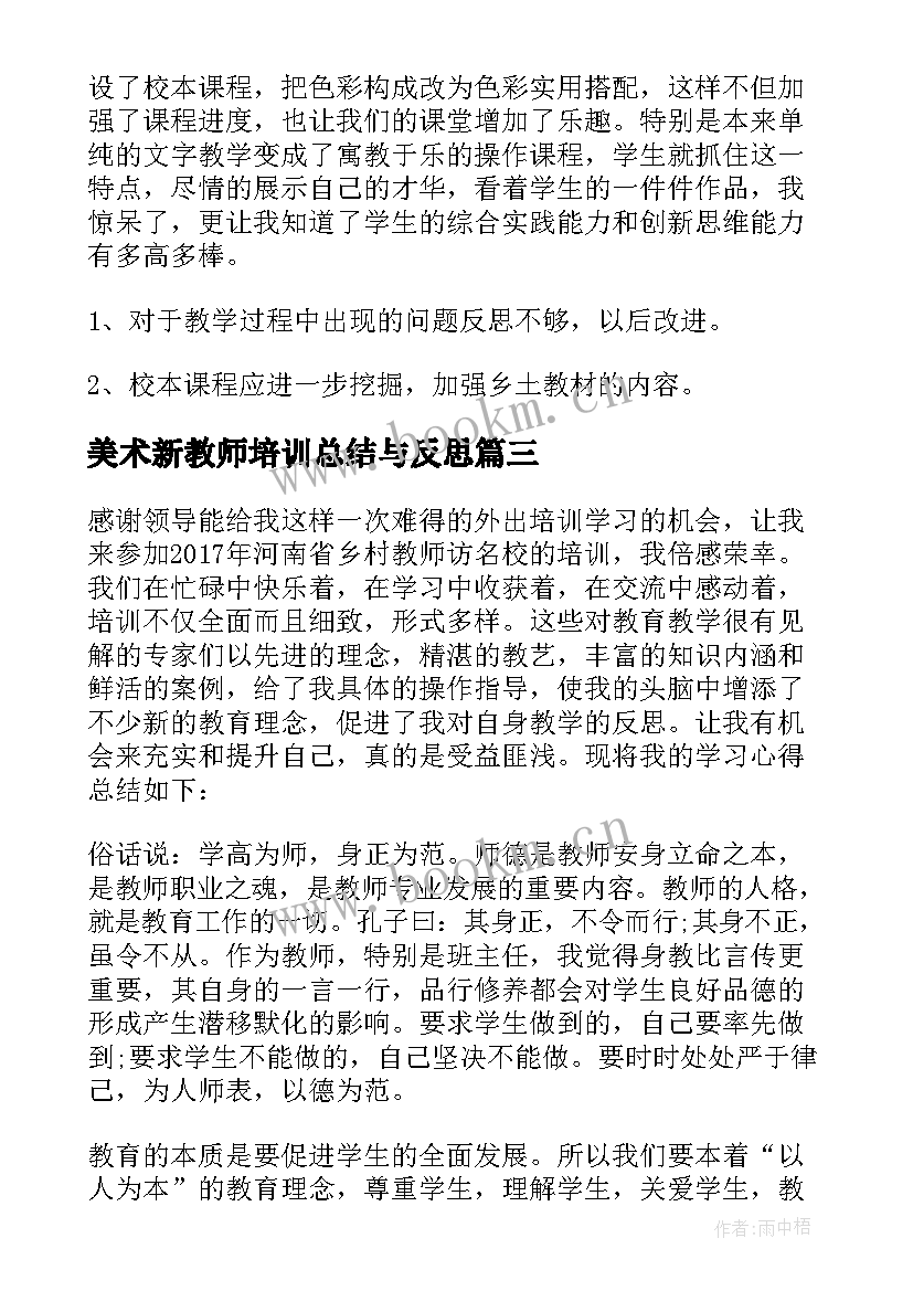 2023年美术新教师培训总结与反思 美术教师培训总结(模板5篇)