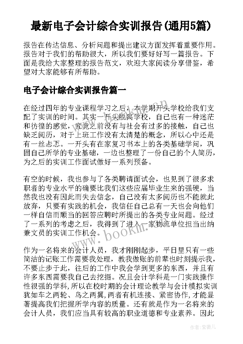 最新电子会计综合实训报告(通用5篇)