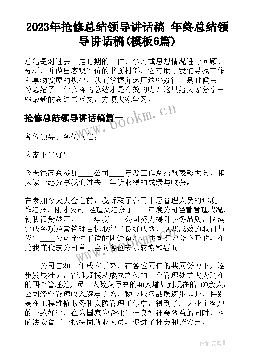 2023年抢修总结领导讲话稿 年终总结领导讲话稿(模板6篇)