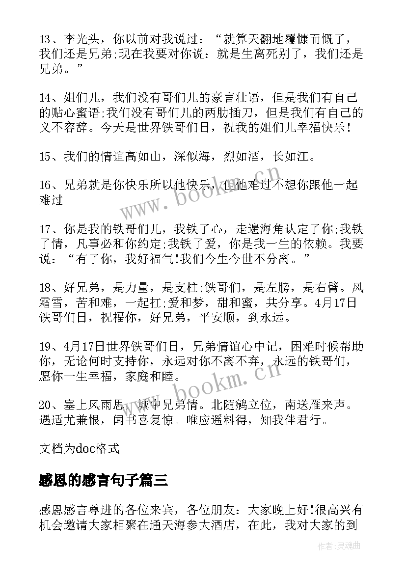 2023年感恩的感言句子(大全7篇)