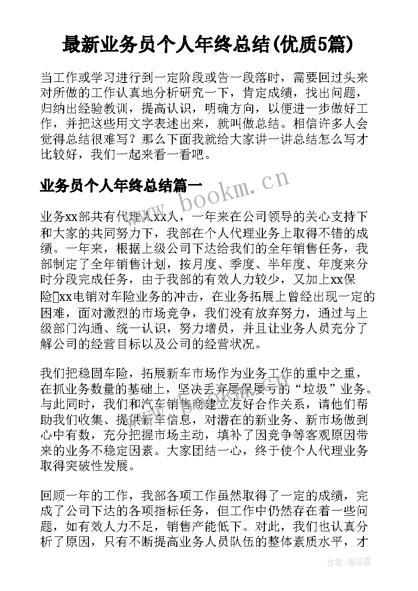 最新业务员个人年终总结(优质5篇)