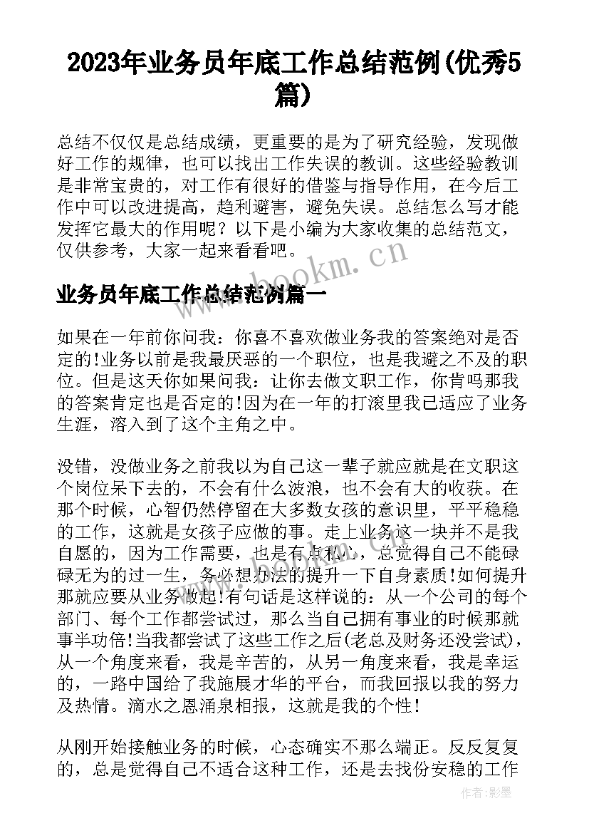 2023年业务员年底工作总结范例(优秀5篇)