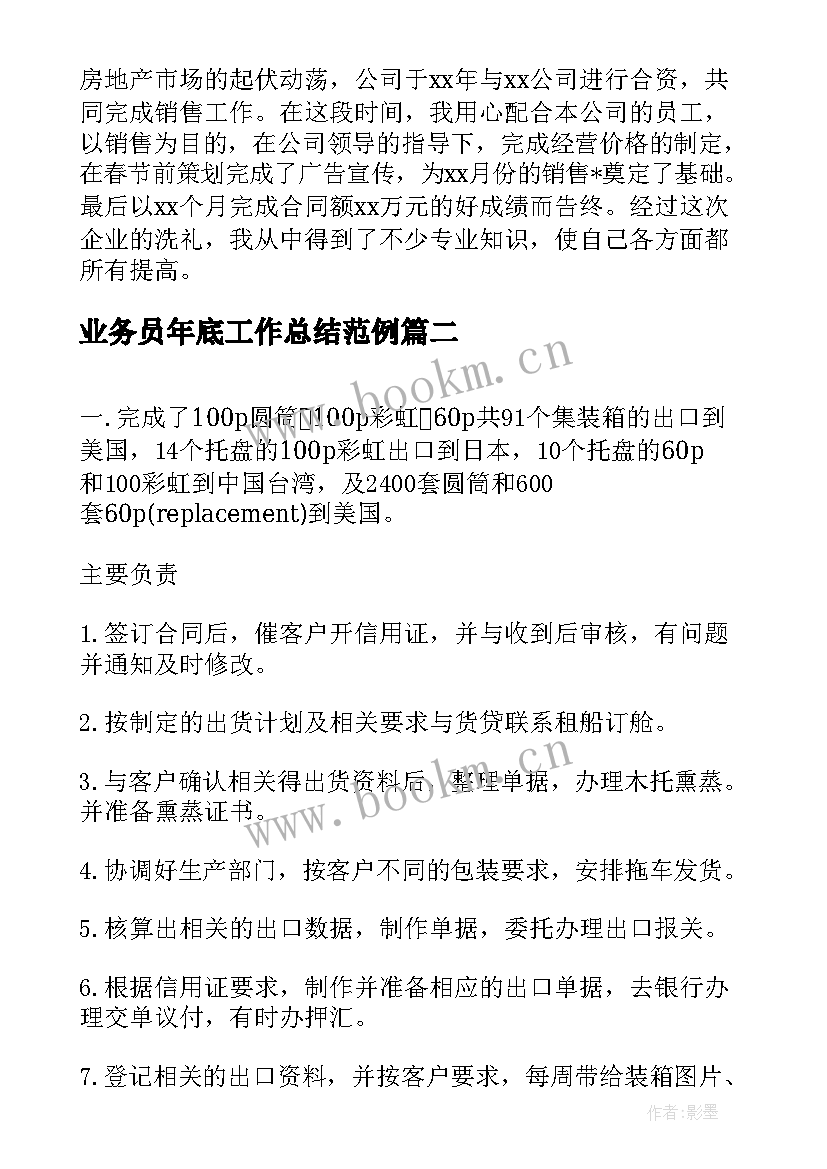 2023年业务员年底工作总结范例(优秀5篇)