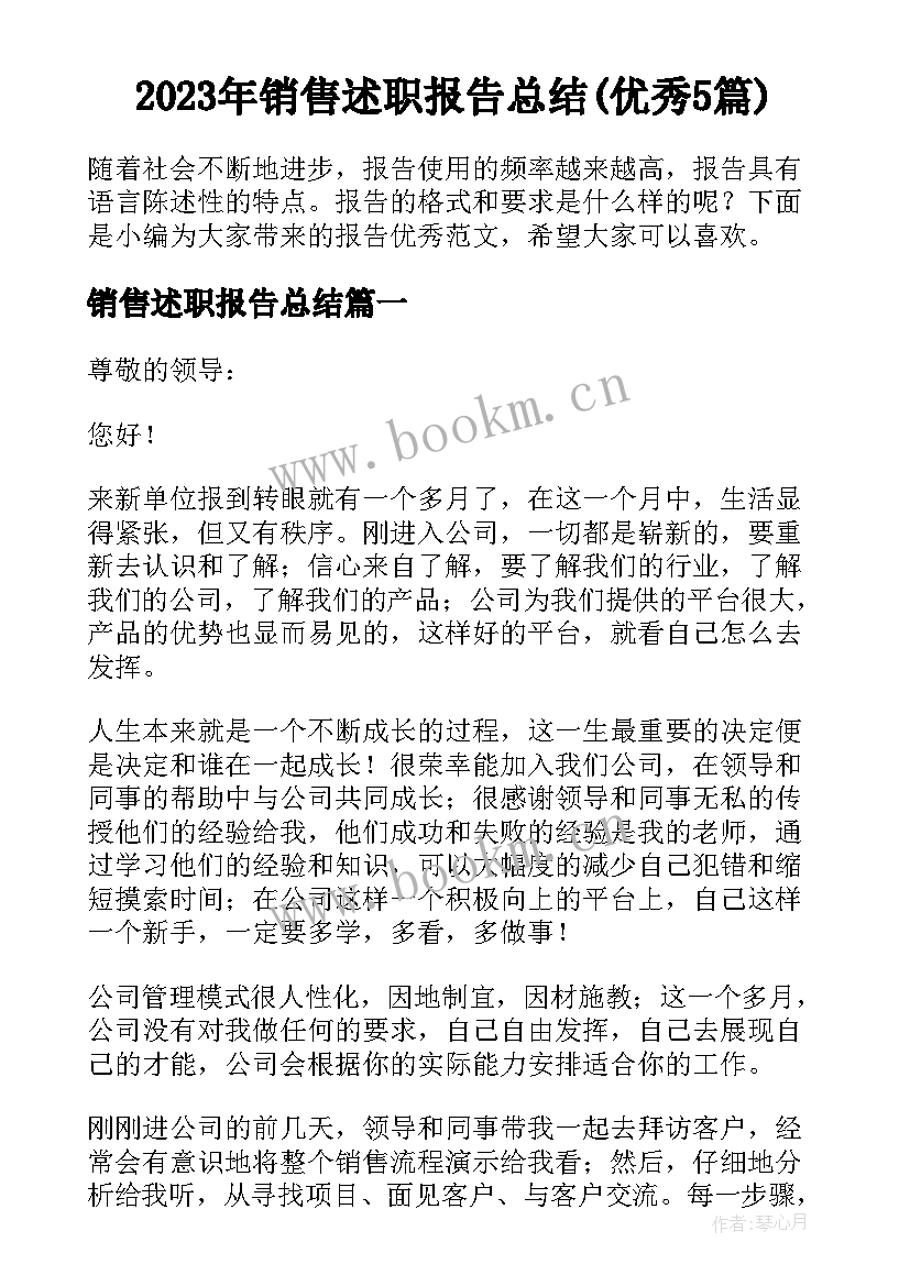 2023年销售述职报告总结(优秀5篇)