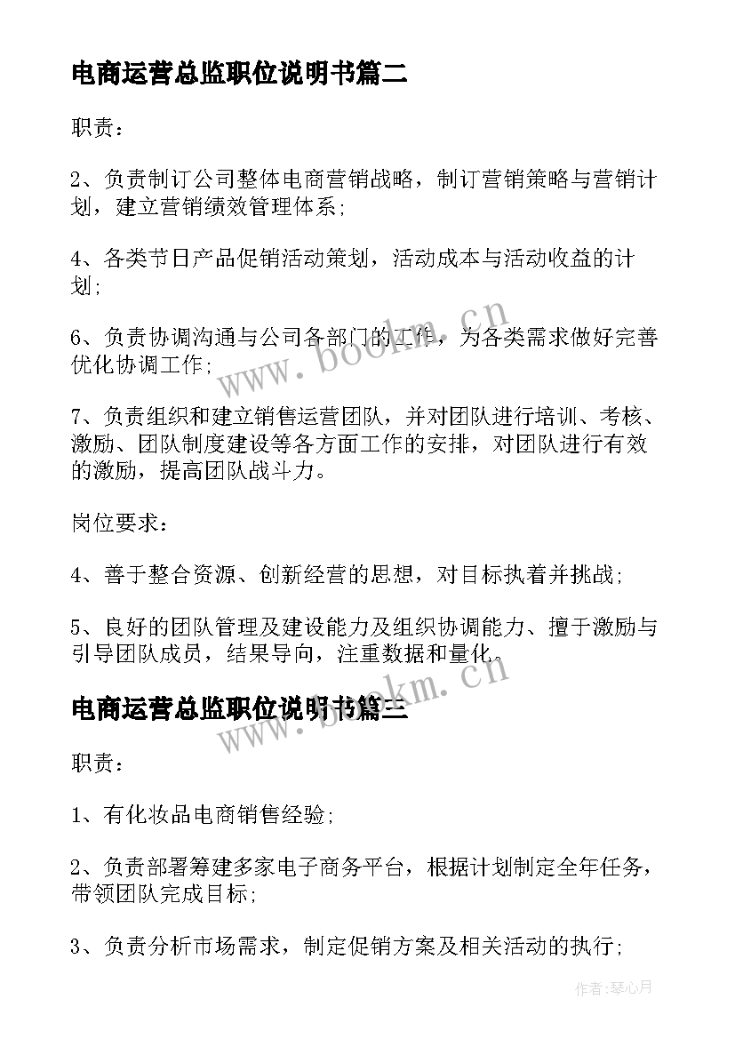 2023年电商运营总监职位说明书(汇总5篇)