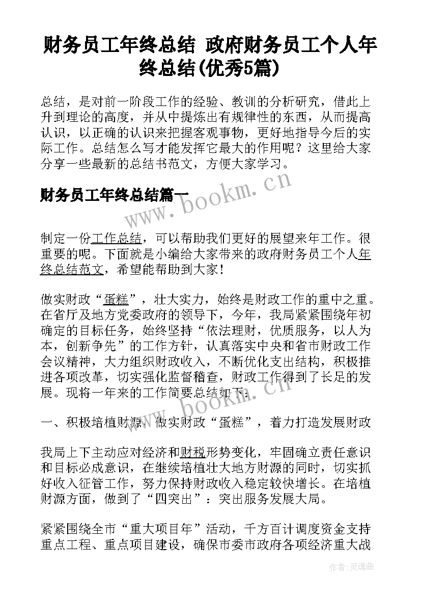 财务员工年终总结 政府财务员工个人年终总结(优秀5篇)