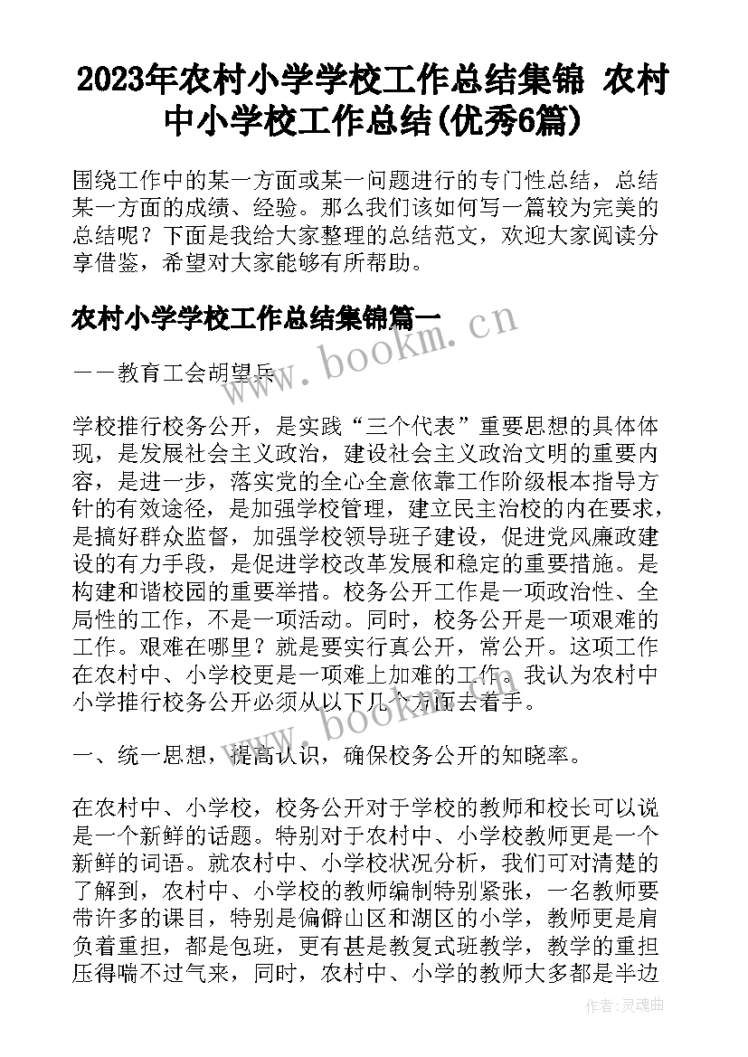 2023年农村小学学校工作总结集锦 农村中小学校工作总结(优秀6篇)