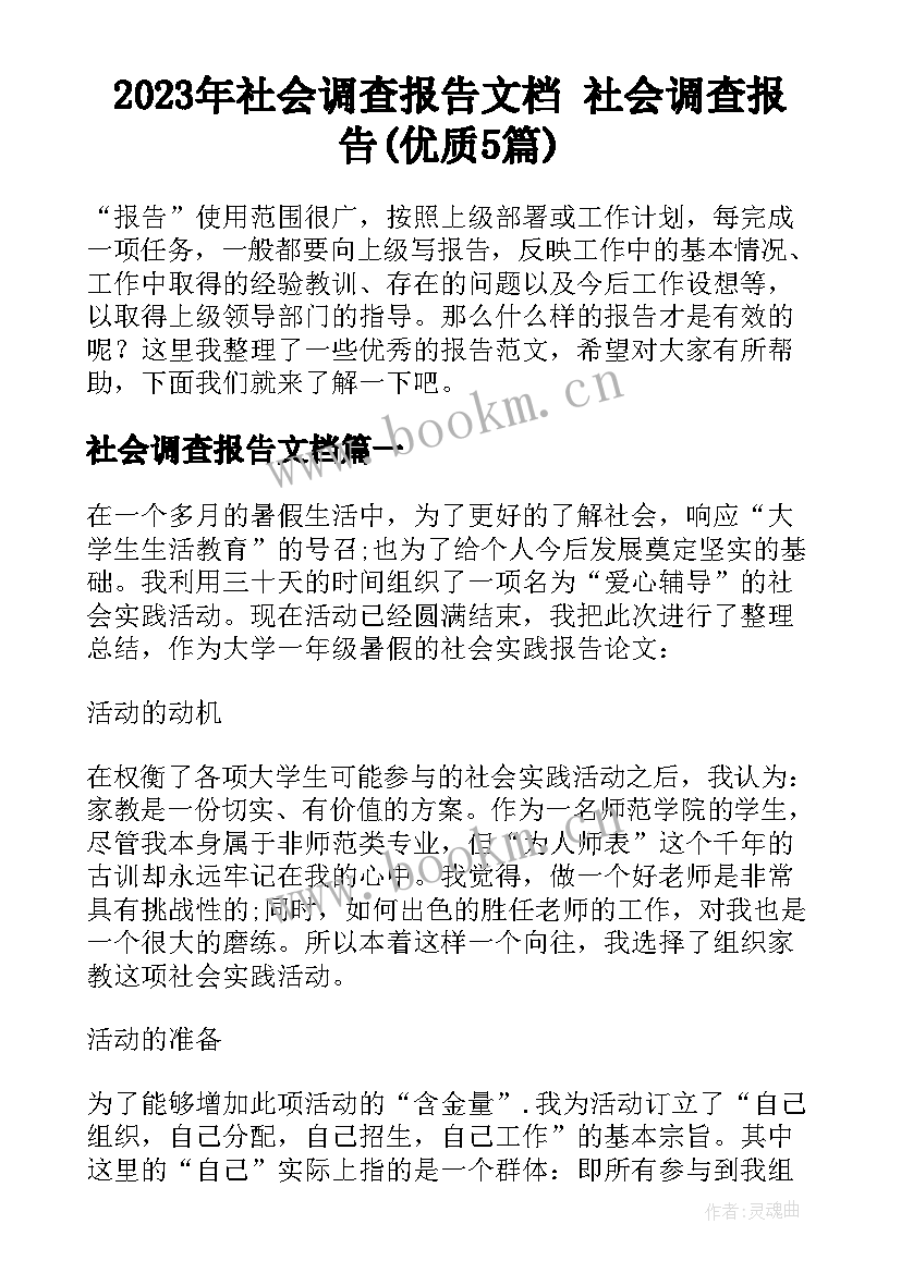 2023年社会调查报告文档 社会调查报告(优质5篇)