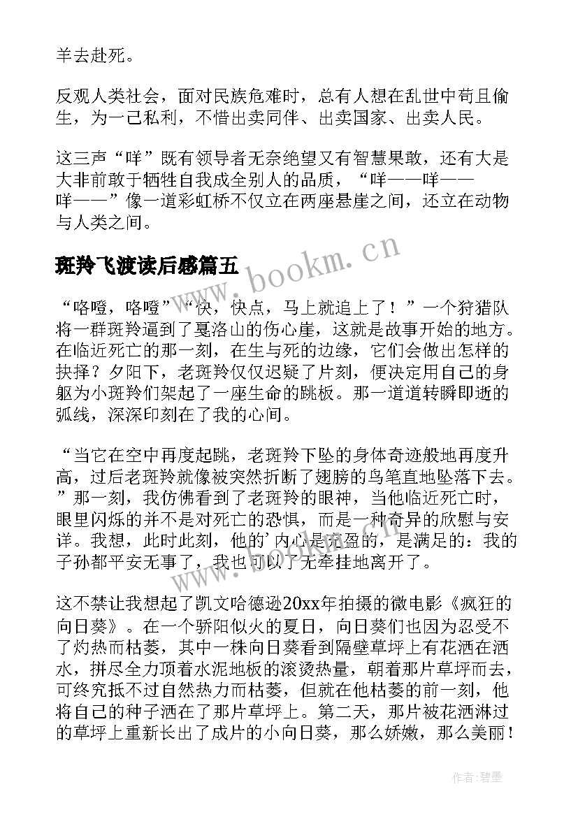 斑羚飞渡读后感(汇总6篇)