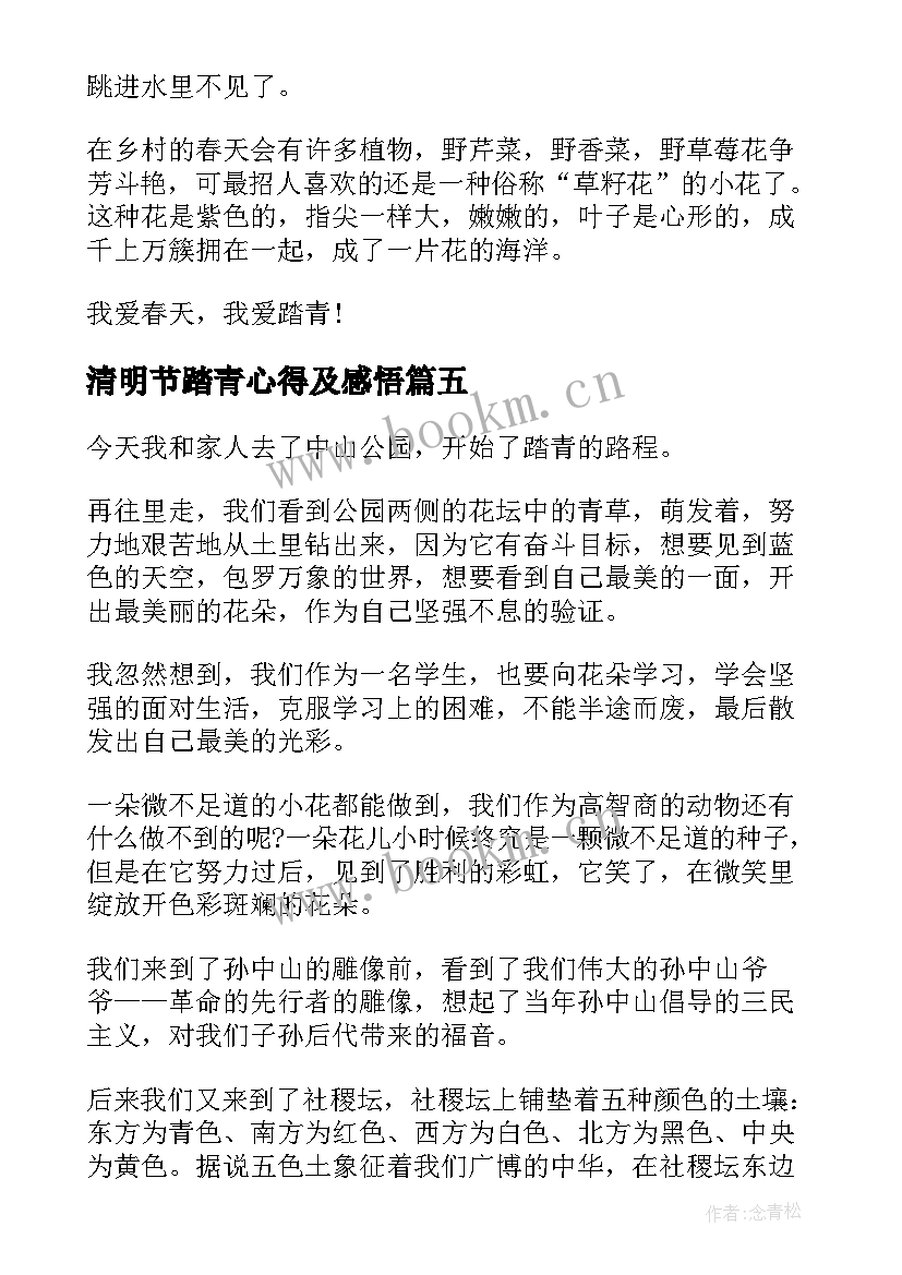 清明节踏青心得及感悟(精选5篇)