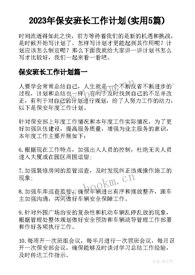 2023年保安班长工作计划(实用5篇)