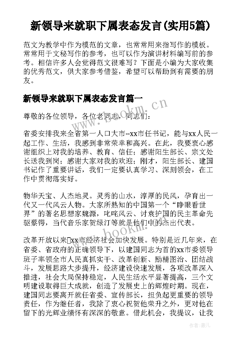 新领导来就职下属表态发言(实用5篇)