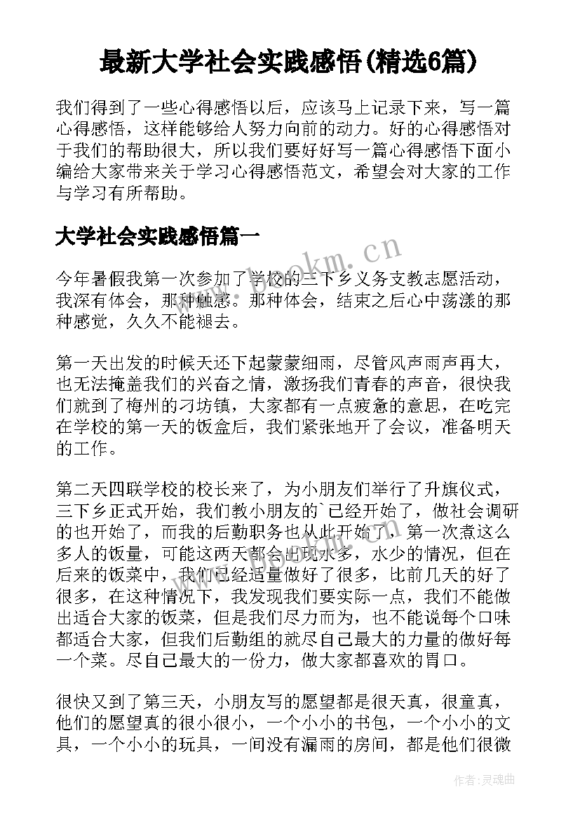 最新大学社会实践感悟(精选6篇)