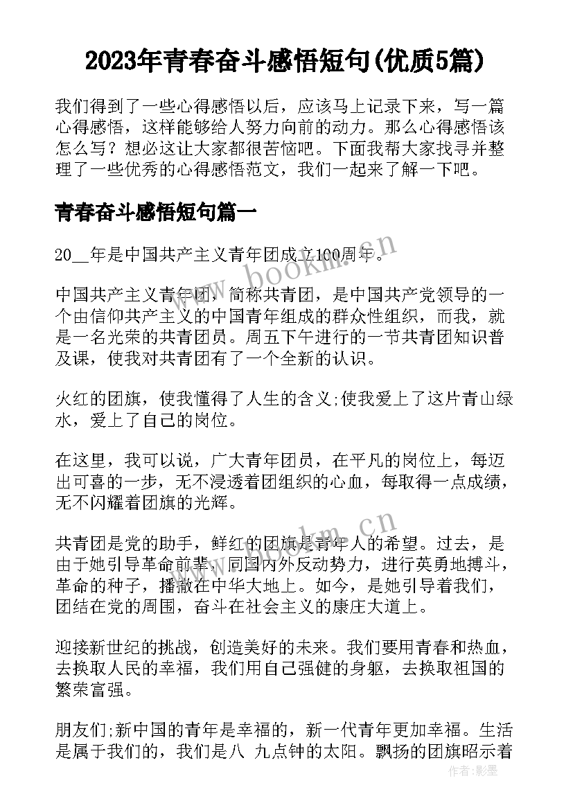 2023年青春奋斗感悟短句(优质5篇)