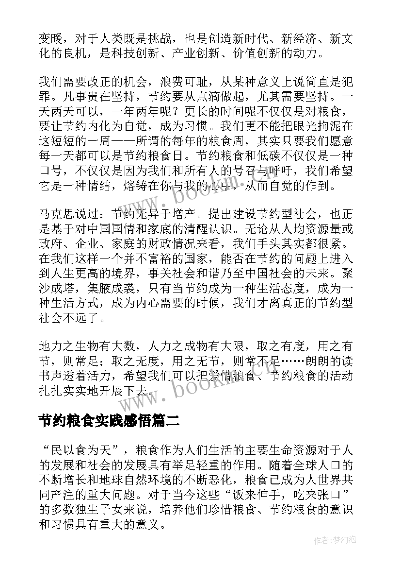 2023年节约粮食实践感悟(通用5篇)