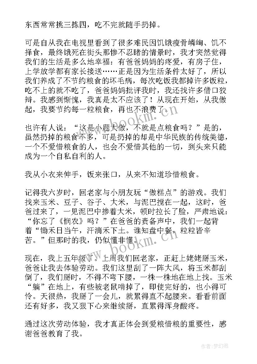 2023年节约粮食实践感悟(通用5篇)