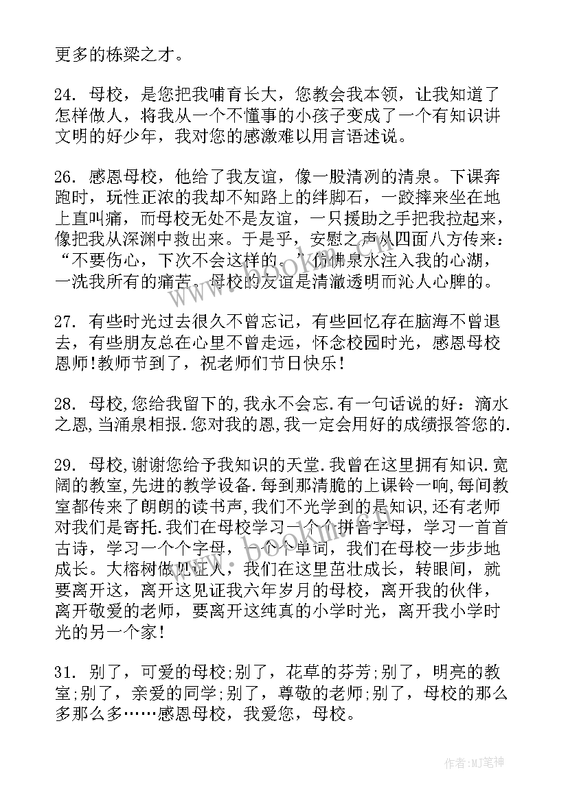 2023年感恩的段落摘抄(通用9篇)