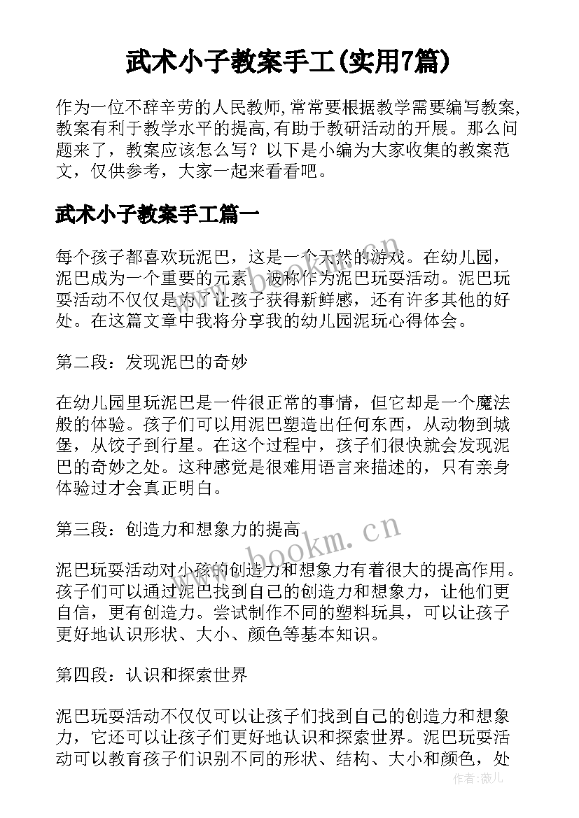 武术小子教案手工(实用7篇)