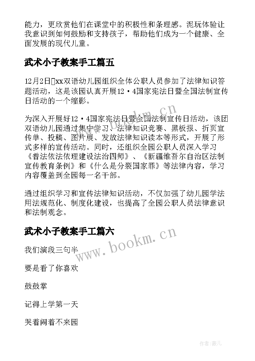 武术小子教案手工(实用7篇)