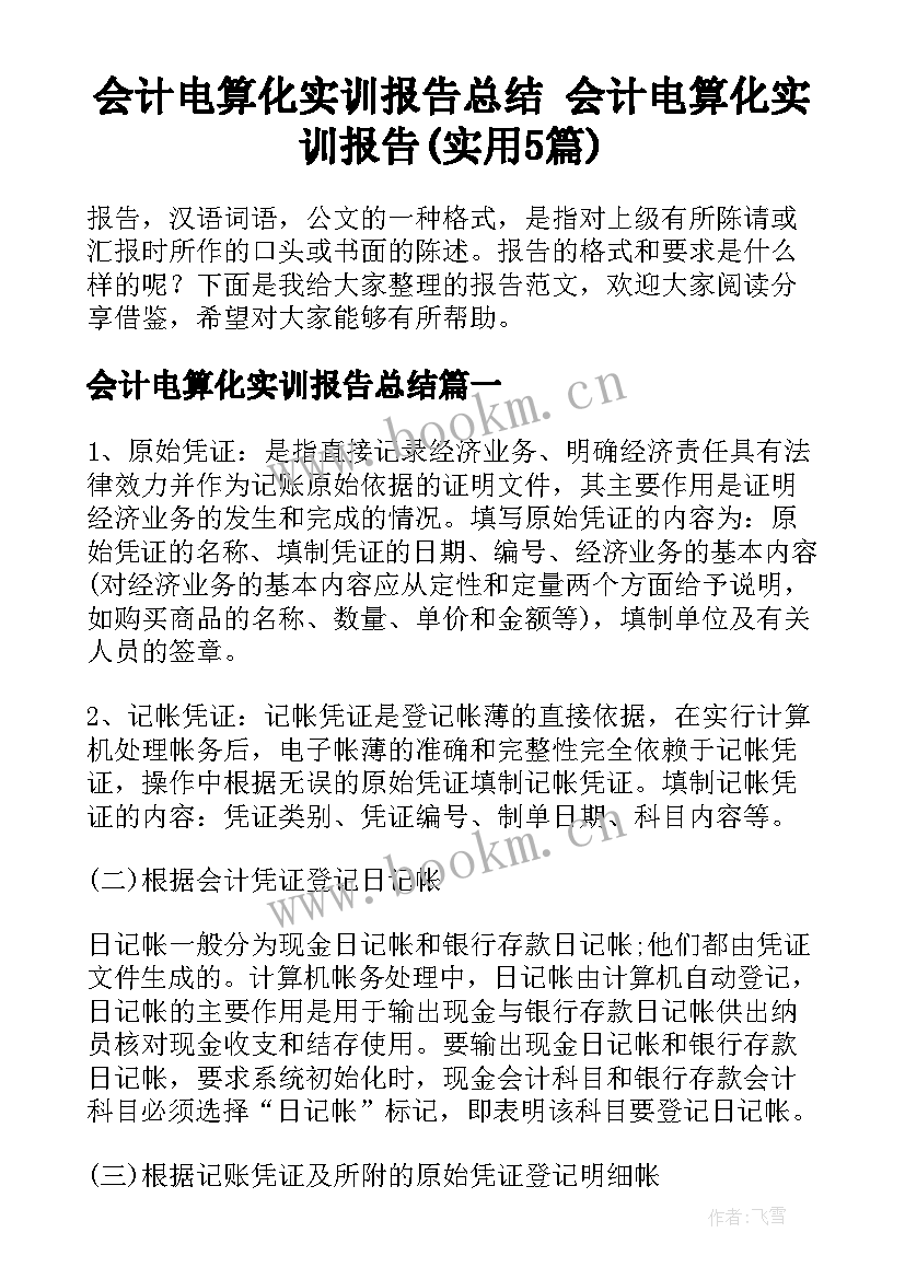 会计电算化实训报告总结 会计电算化实训报告(实用5篇)