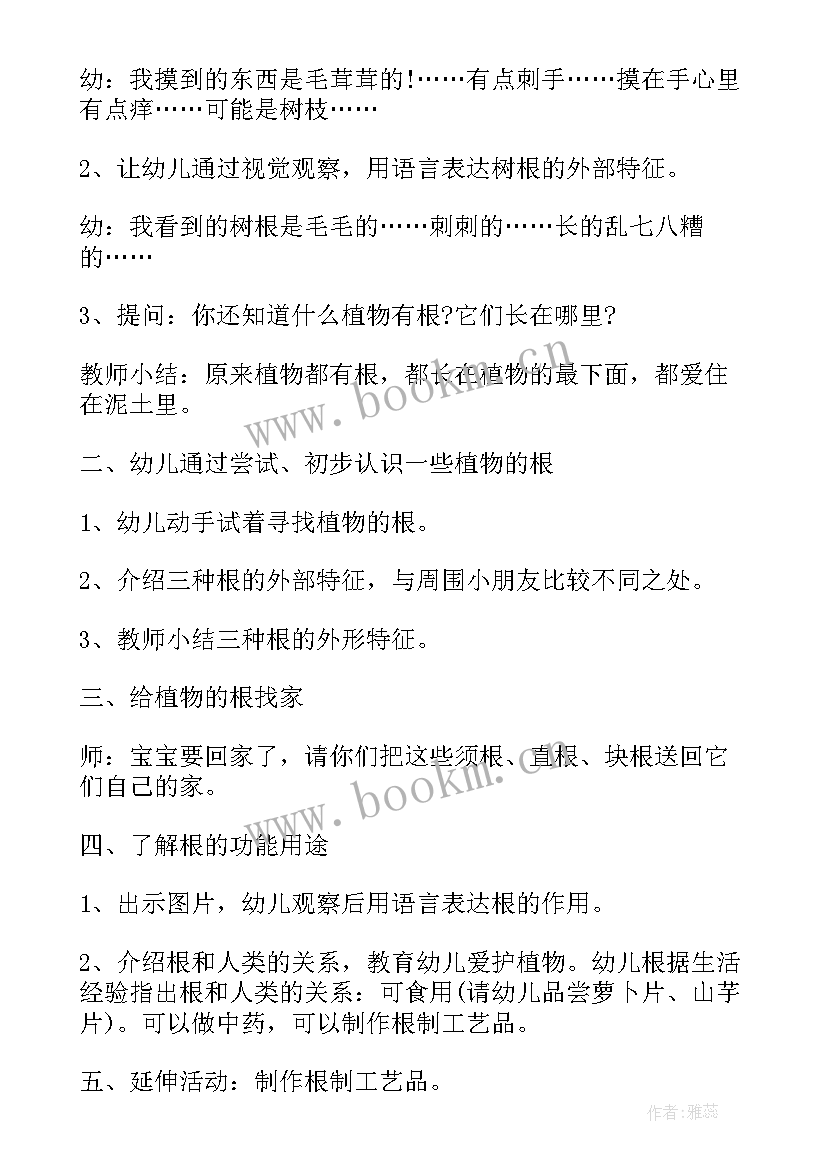 2023年幼儿园科学有趣的纸活动反思 大班科学公开课教案及教学反思有趣的根(大全9篇)