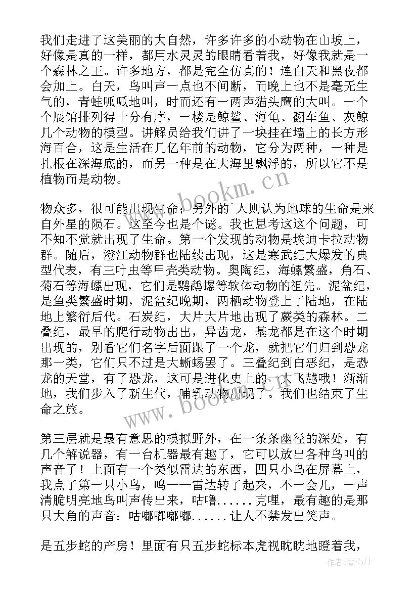 最新参观博物馆心得体会 参观奔流博物馆心得体会(优质8篇)