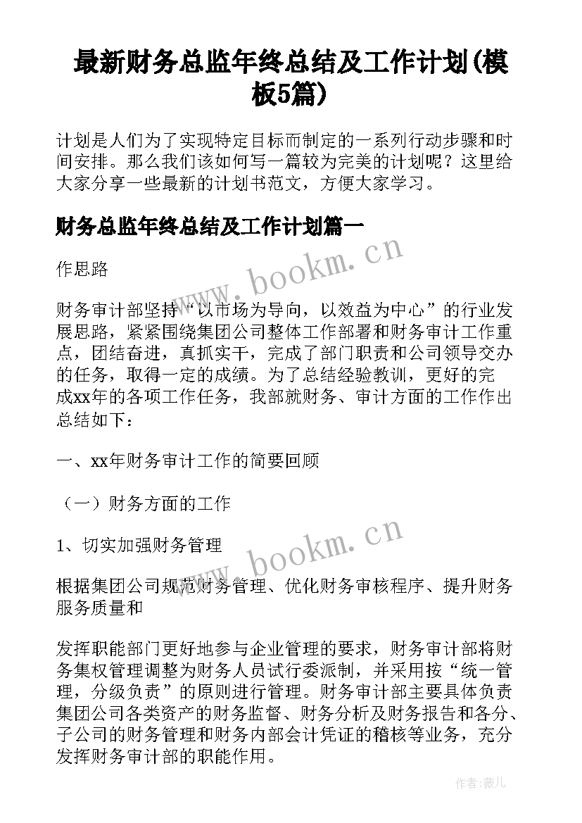 最新财务总监年终总结及工作计划(模板5篇)