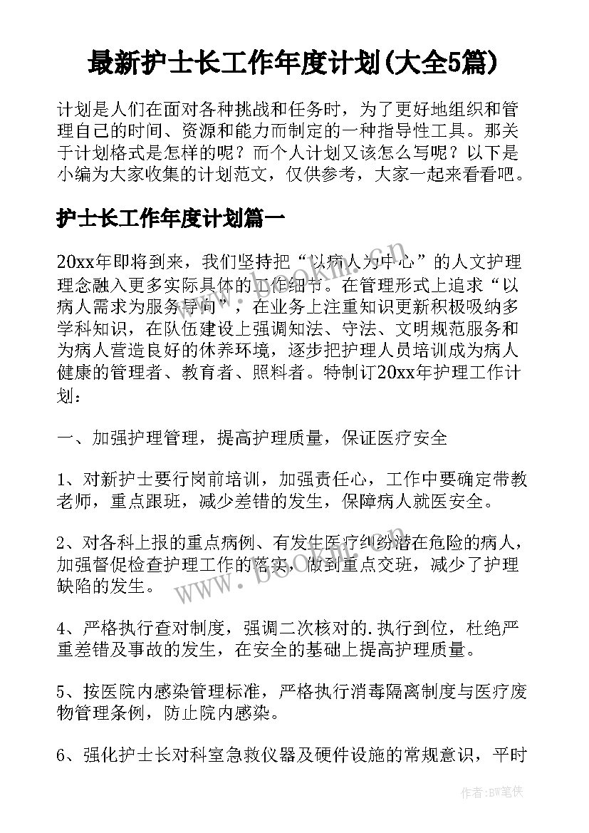 最新护士长工作年度计划(大全5篇)