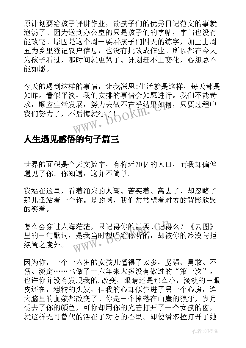 2023年人生遇见感悟的句子(精选5篇)