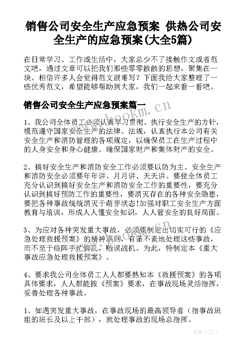 销售公司安全生产应急预案 供热公司安全生产的应急预案(大全5篇)