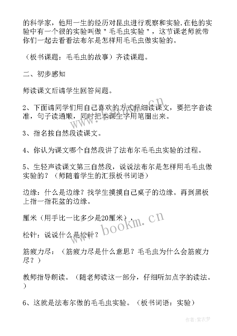 2023年小学二年级语文小毛虫教案及反思 长春版小学二年级语文毛毛虫的故事教案(实用5篇)