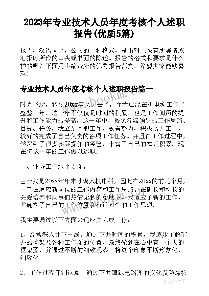 2023年专业技术人员年度考核个人述职报告(优质5篇)