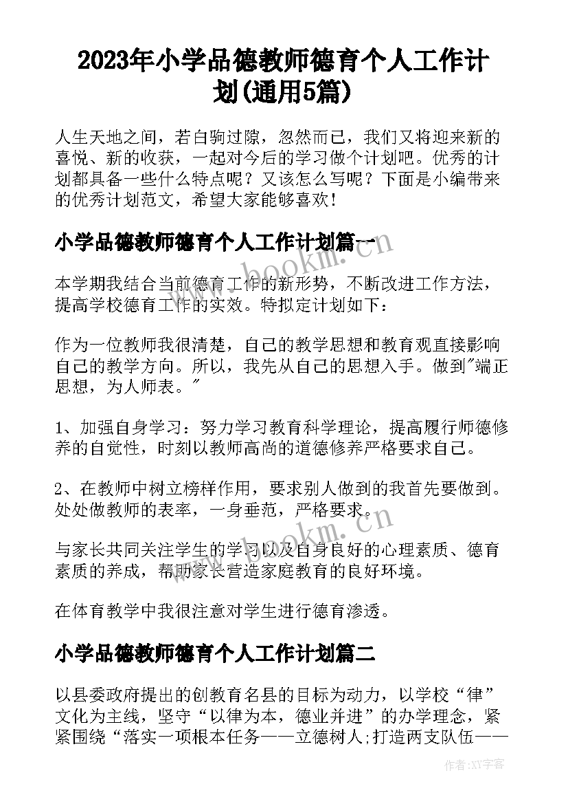 2023年小学品德教师德育个人工作计划(通用5篇)