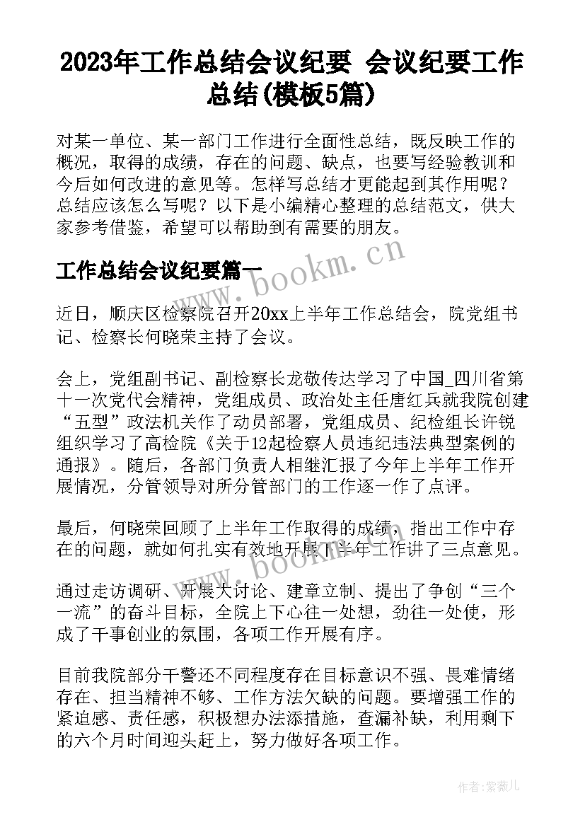 2023年工作总结会议纪要 会议纪要工作总结(模板5篇)