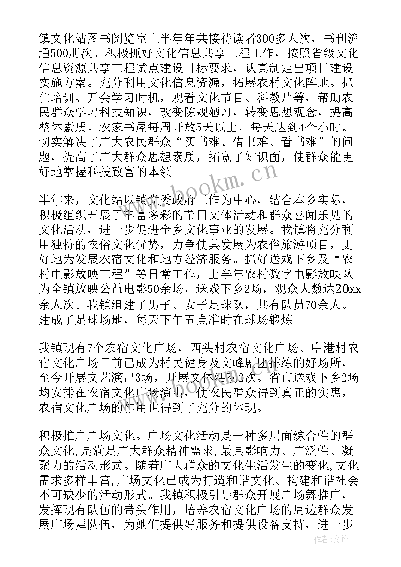 村文化站工作总结 文化站工作总结(精选6篇)