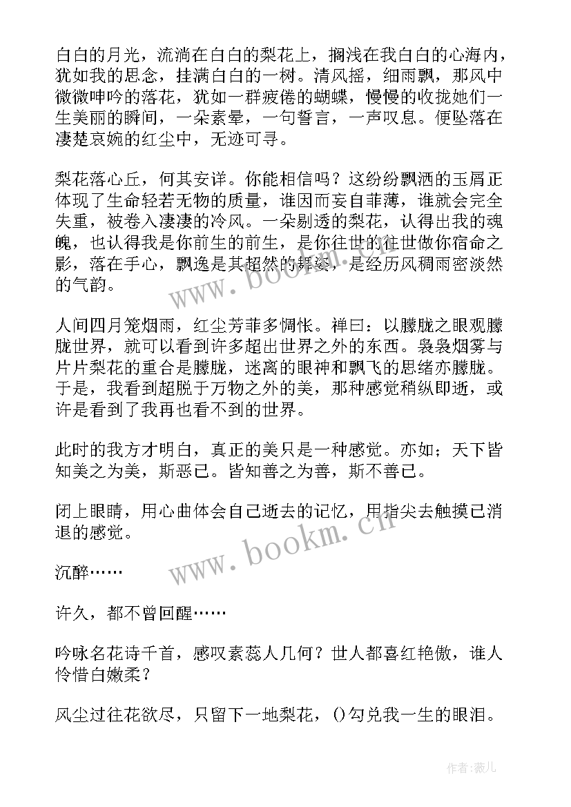 2023年句子摘抄和感想 美文摘抄及感悟(精选7篇)