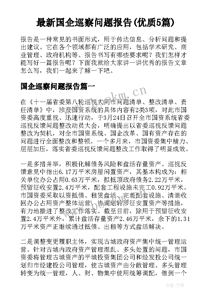 最新国企巡察问题报告(优质5篇)