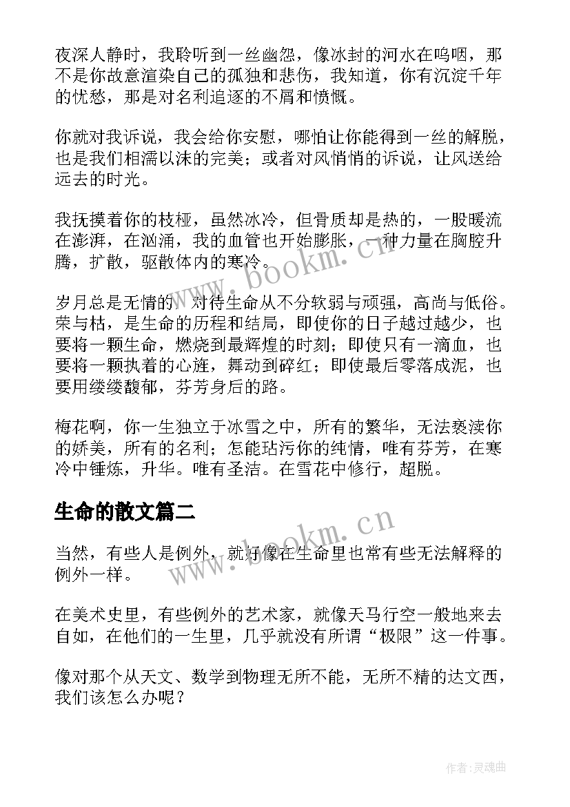 2023年生命的散文(大全7篇)