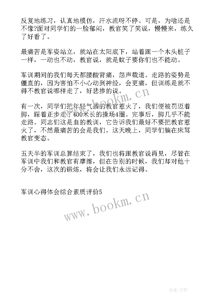 综合素质评价艺术心得体会 艺术素养综合素质评价(精选5篇)