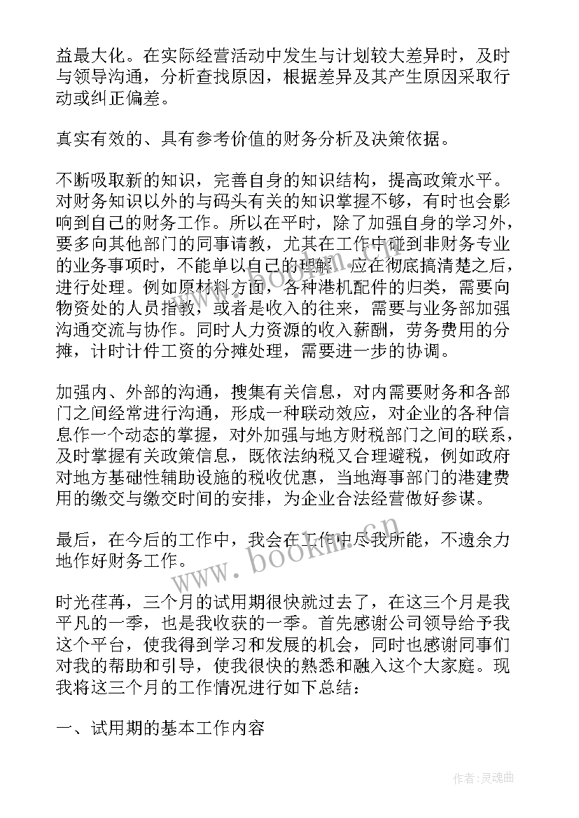 最新试用期财务经理月度工作总结(大全5篇)