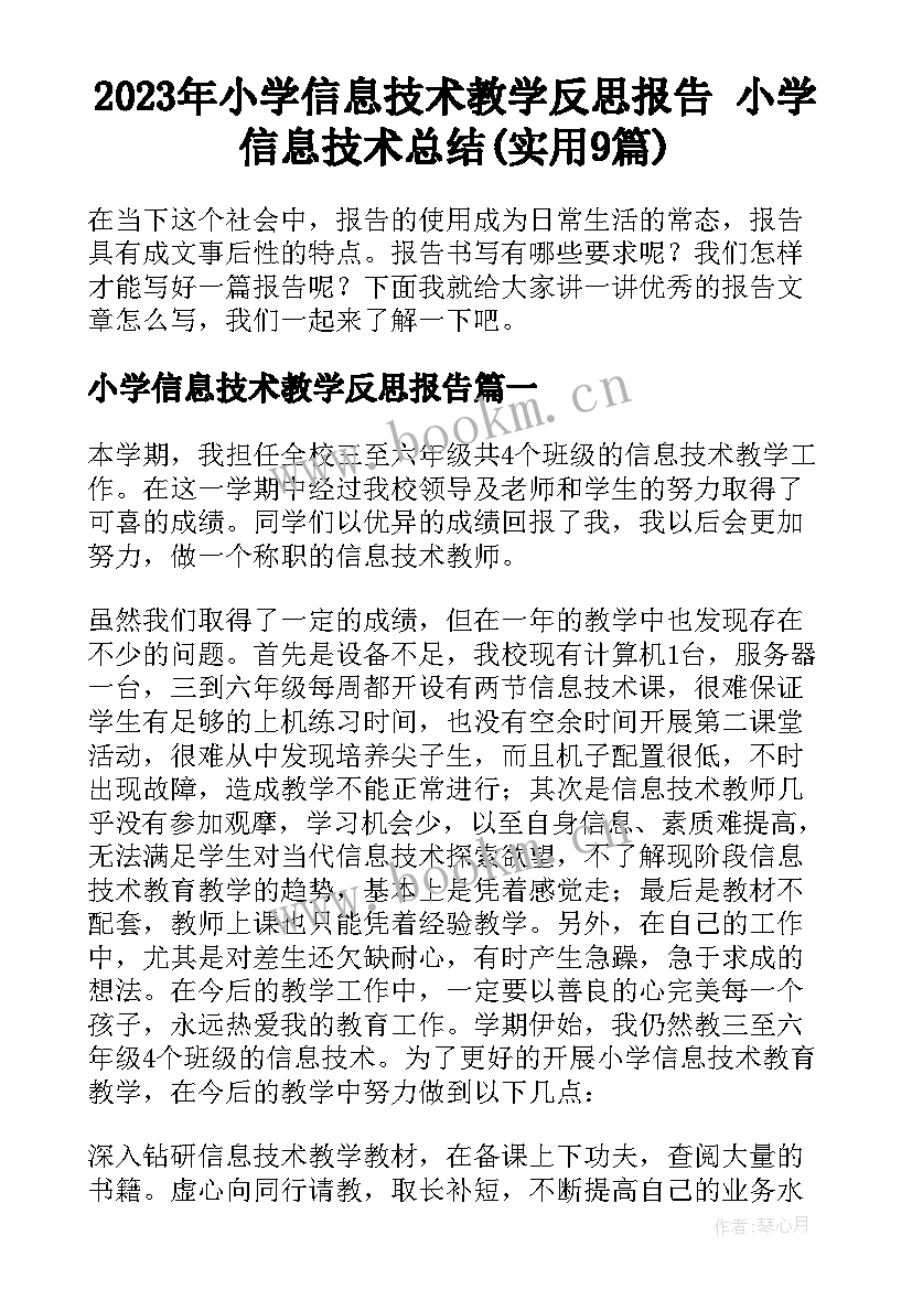 2023年小学信息技术教学反思报告 小学信息技术总结(实用9篇)