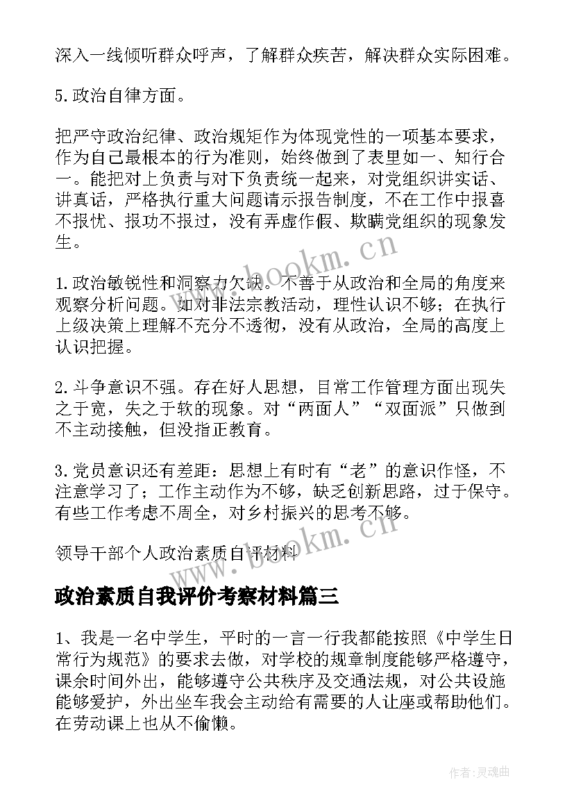 政治素质自我评价考察材料(模板5篇)